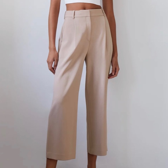 Aritzia Pants - Aritzia Babaton pink kenton pants